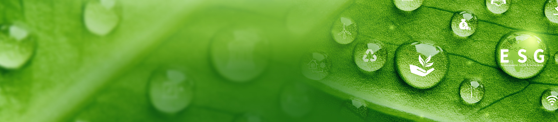 ESG