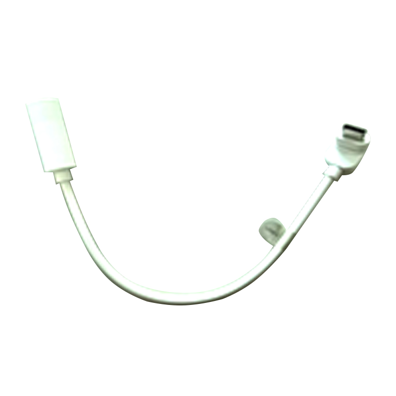 Waterproof Type-C Adapter Cable