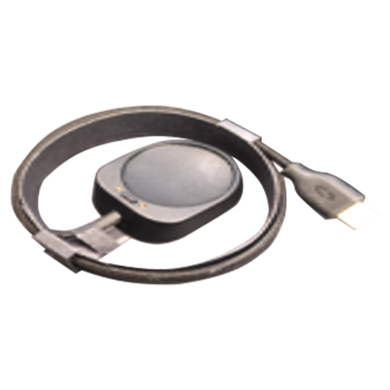 Type C to Pogo Pin Cable